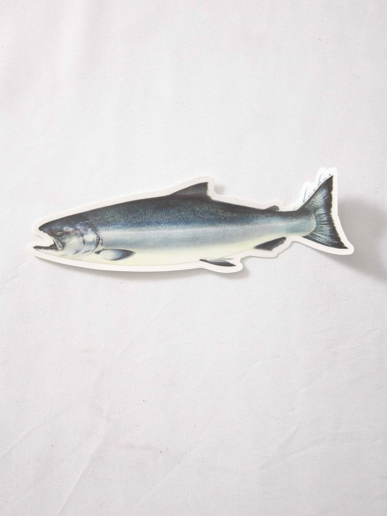 Abachar King Salmon Sticker